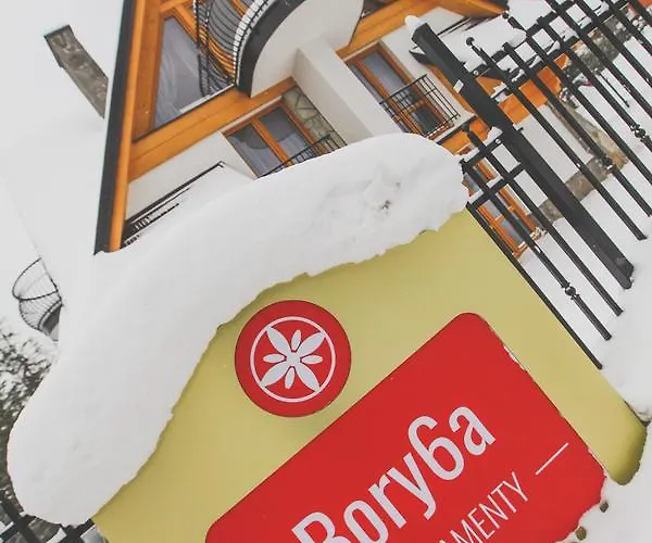 Bory6a & Free Parking 자코파네