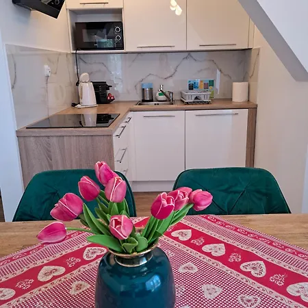 דירה Bory6a & Free Parking זקופאנה