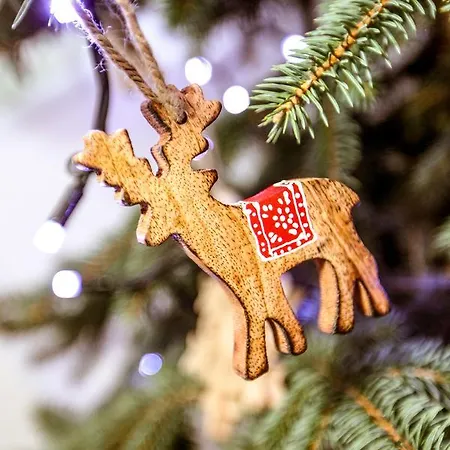 דירה Bory6a & Free Parking זקופאנה