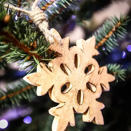 Bory6a & Free Parking *