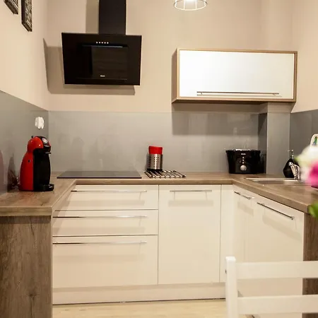 Bory6a & Free Parking זקופאנה