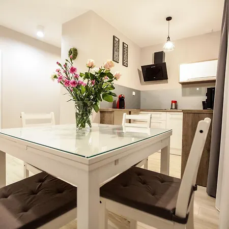 Bory6a & Free Parking דירה