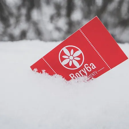 Bory6a & Free Parking זקופאנה