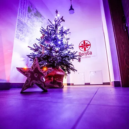 Bory6a & Free Parking * זקופאנה