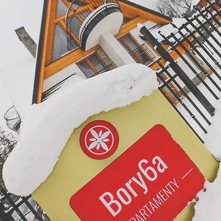 Bory6a & Free Parking Zakopane