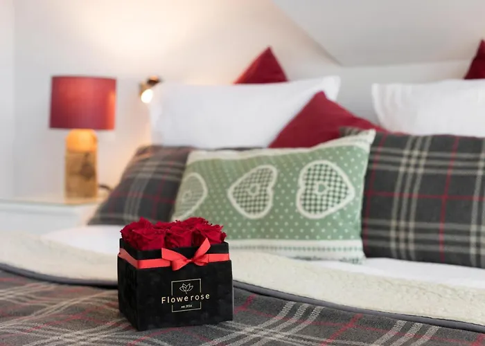 Apartment Bory6a & Free Parking