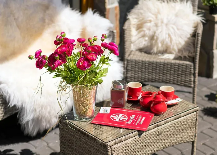 Bory6a & Free Parking