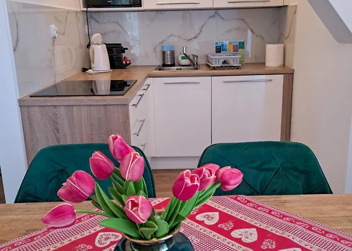 Apartment Bory6a & Free Parking Zakopane