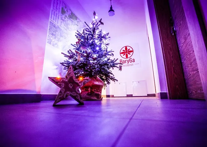 Bory6a & Free Parking * 扎科帕内